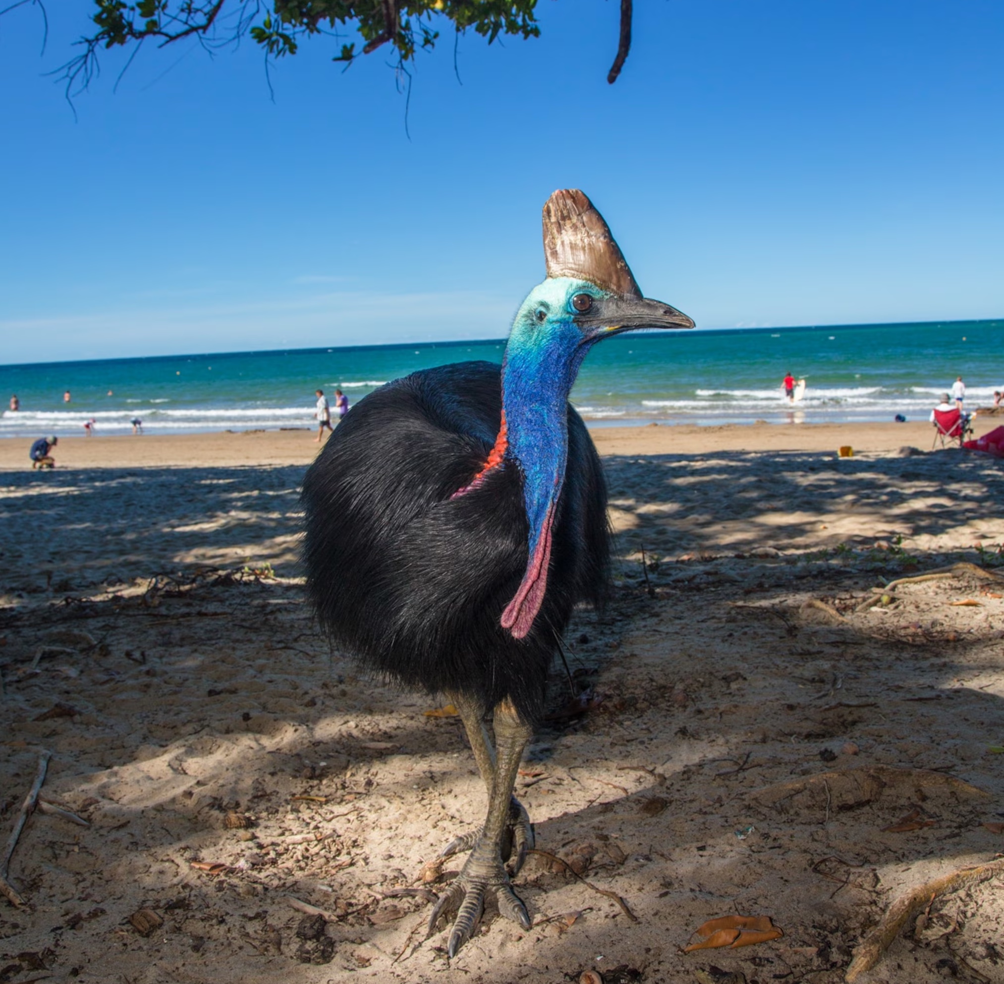 Family activity in Port Douglas
