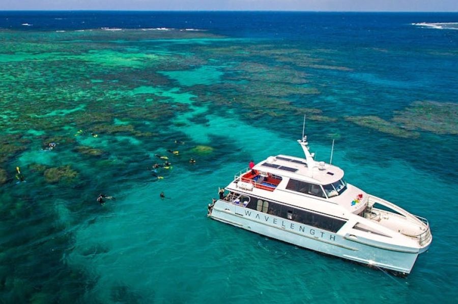 Reef tour experience